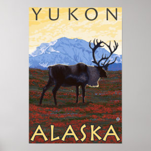 Västindien - Yukon, Alaska Poster
