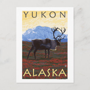 Västindien - Yukon, Alaska Vykort