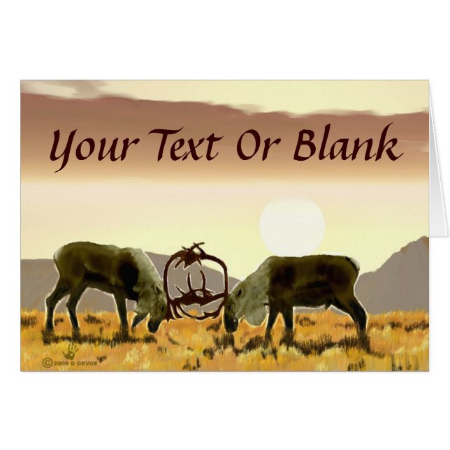 Västindiou Duel Hälsningskort (Framsidan Horizontal)