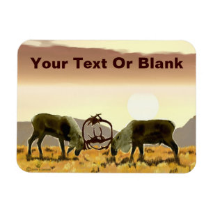 Västindiou Duel Magnet