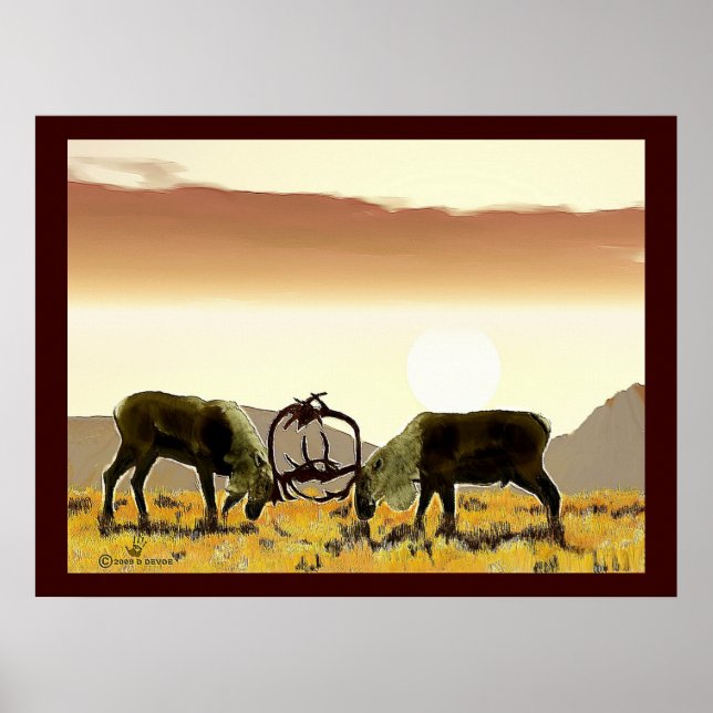 Västindiou Duel Poster (Framsidan)