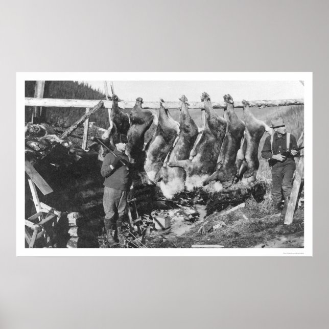 Västindiou Hunters Alaska 1928 Poster (Framsidan)