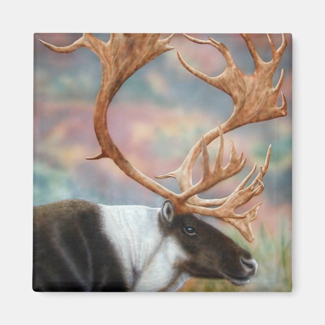 Västindiou Magnet (Framsidan)
