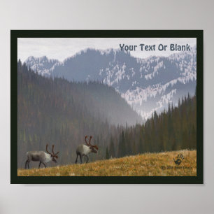 Västindiou Two Poster