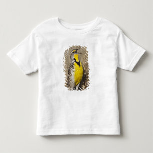 Västlig ängstrupial (Sturnella neglecta) Tee Shirt