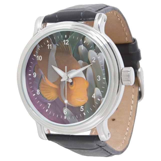 Västlig klovnanemonfisk armbandsur (Vinklad)