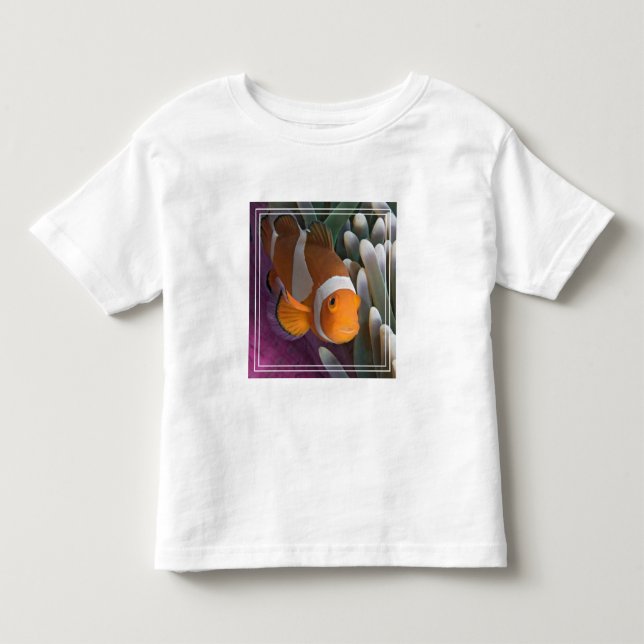 Västra clownfisk t shirt (Framsida)