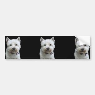 Västra höglands- Terrier Bildekal