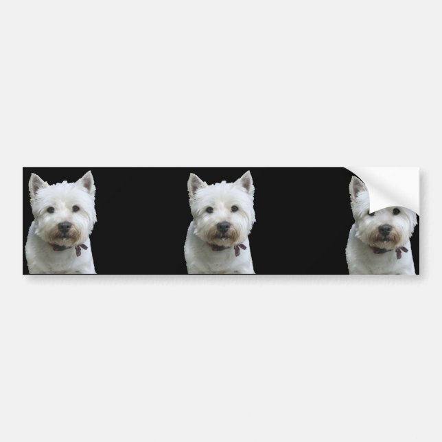 Västra höglands- Terrier Bildekal (Framsidan)