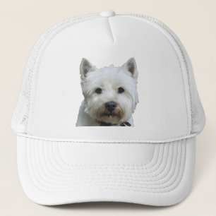 Västra höglands- Terrier Keps