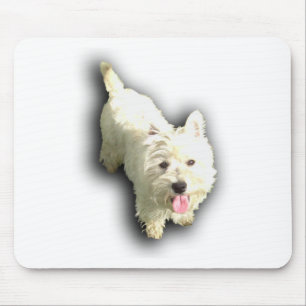 Västra höglands- Terrier Musmatta