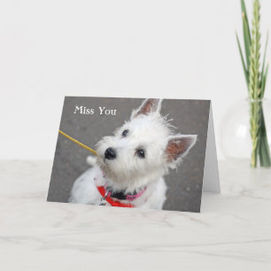 västra höglands- terrierhundmiss som du card kort