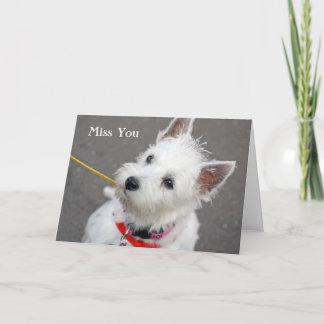 västra höglands- terrierhundmiss som du card kort