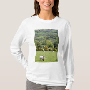 Västra Irland, Dinglehalvön, bred Tee Shirt