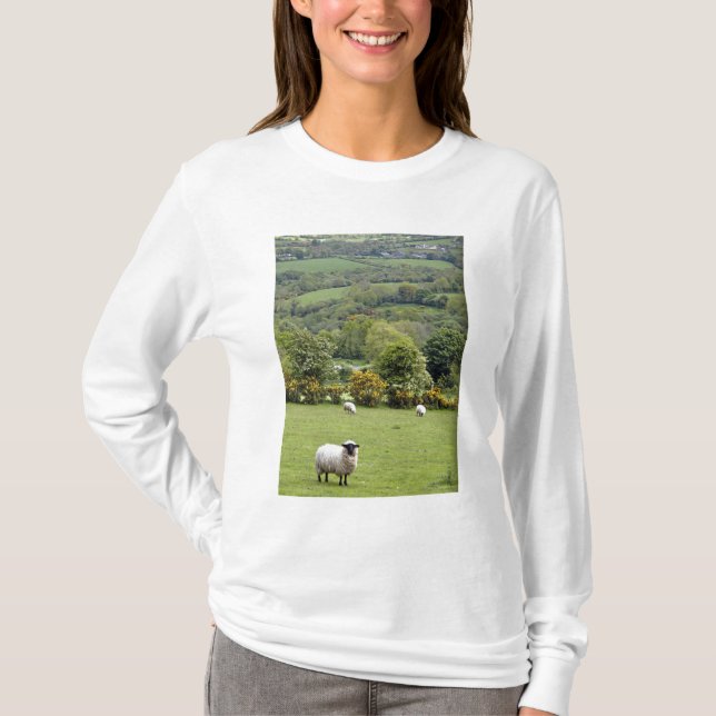 Västra Irland, Dinglehalvön, bred Tee Shirt (Framsida)