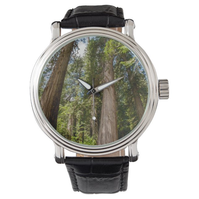Västra rödkedje Träd Armbandsur (Framsida)