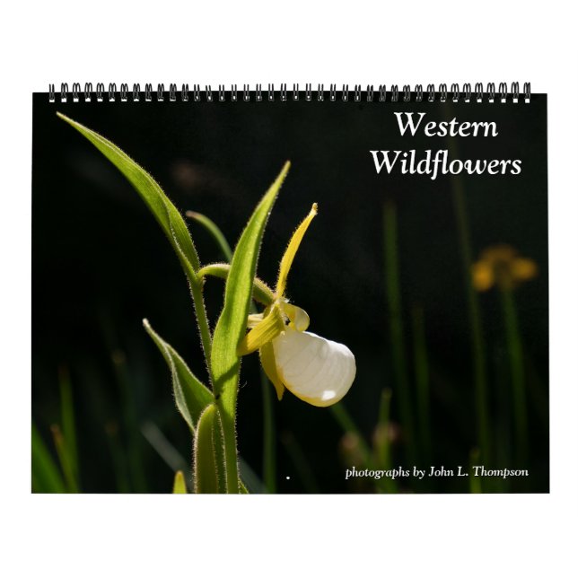 Västra vilda blommor 2026 kalender (Omslag)