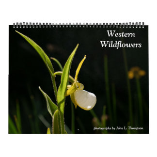 Västra vilda blommor 2026 kalender