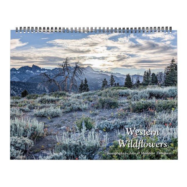 Västra vildblommor 2027 Kalender (Omslag)