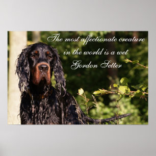 Våt affisch för Gordon Setter