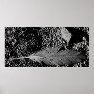 Våt fjäder poster