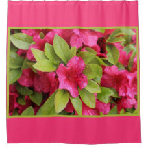 Våt Fuchsia Azalea