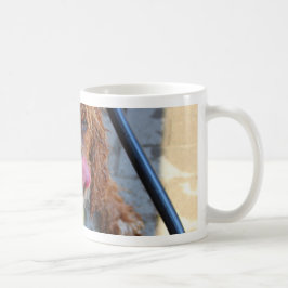 Våt hund med en banan kaffemugg