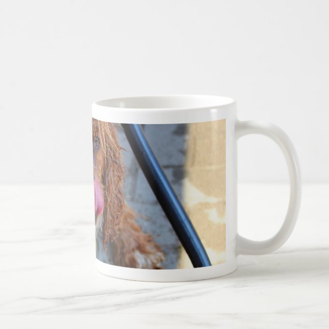 Våt hund med en banan kaffemugg (Höger)