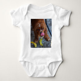 Våt hund med en banan tee shirt