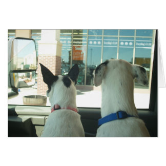 VATCHNING HÄLSNINGSKORT