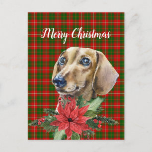 Vatercolor Dachshund Hund julvykort Vykort