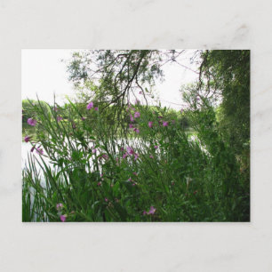 Vatermead Land Park-vykort Vykort