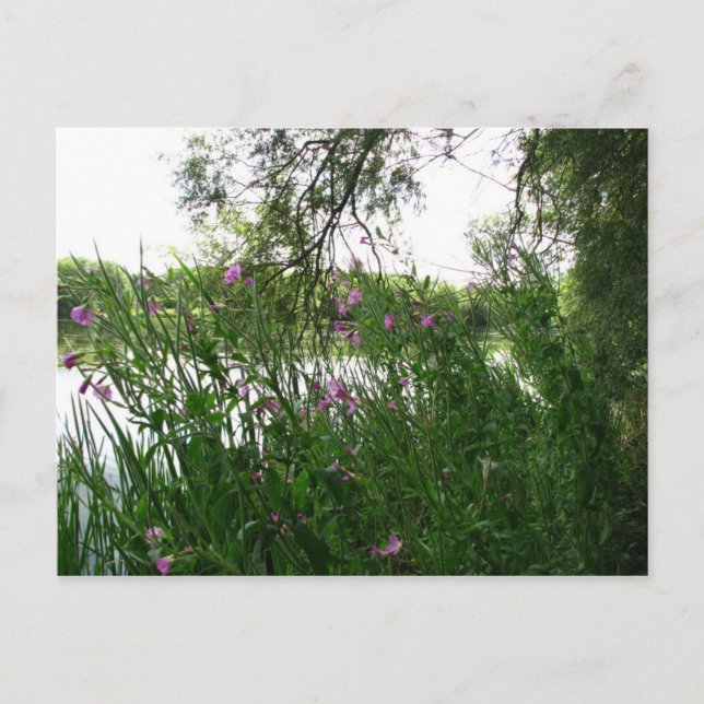 Vatermead Land Park-vykort Vykort (Framsida)