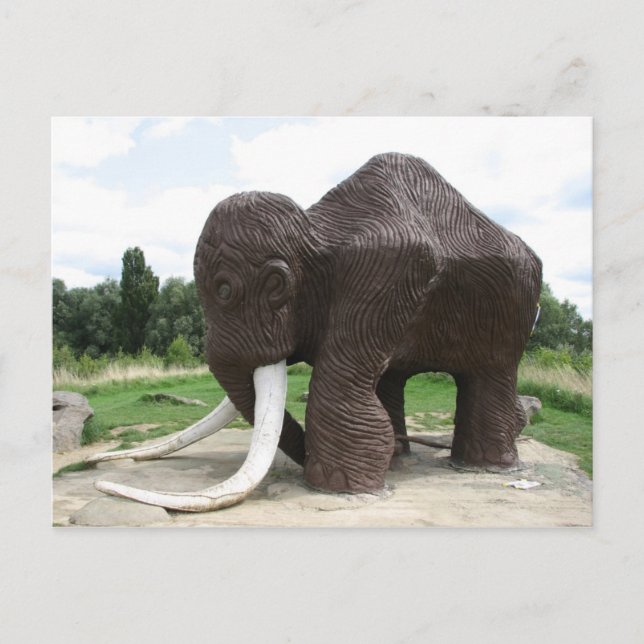 Vatermead Land Park-vykort Vykort (Framsida)