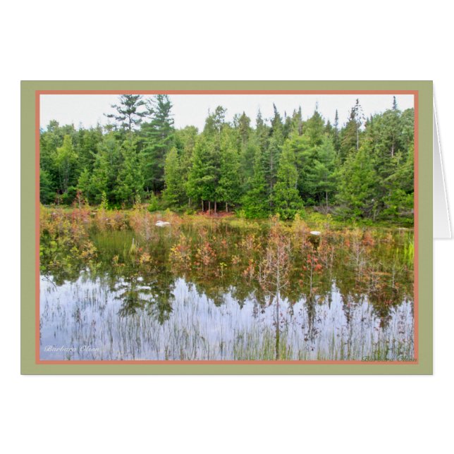 Våtmarker Hälsningskort (Framsidan Horizontal)
