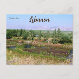 Våtmarker i Beqaa-dalen Libanon Vykort