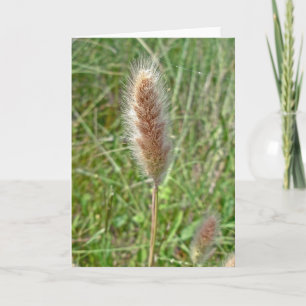 Våtmarkgräs Seedhead noterar kortet Kort