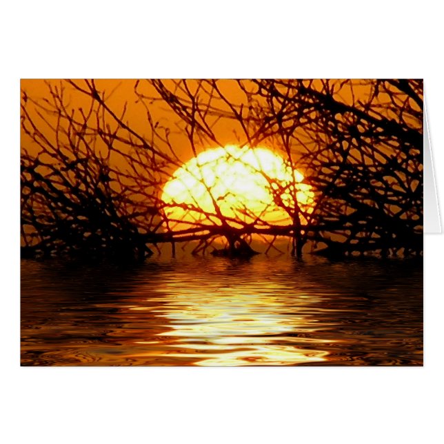 VätskesolnedgångKORT Hälsningskort (Framsidan Horizontal)