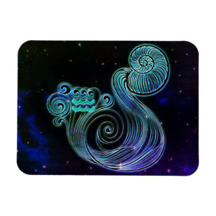 vattarius vatten bärare av zodiakmagnet magnet