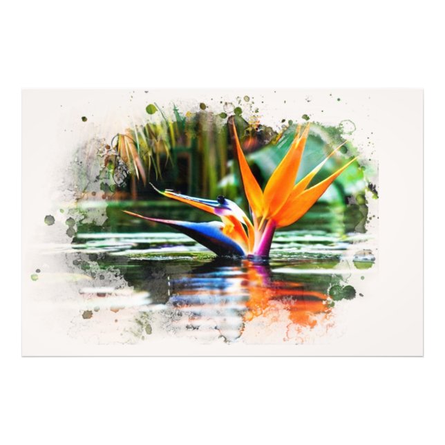 *~* Vatten AP10 Flower Bird of Paradise QR Pond Fototryck (Framsidan)