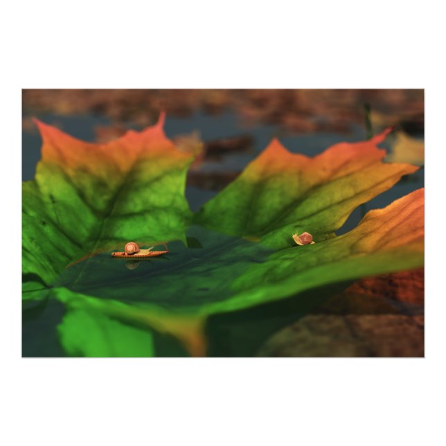 Vatten är en bred fotoutskrift fototryck (Framsidan)