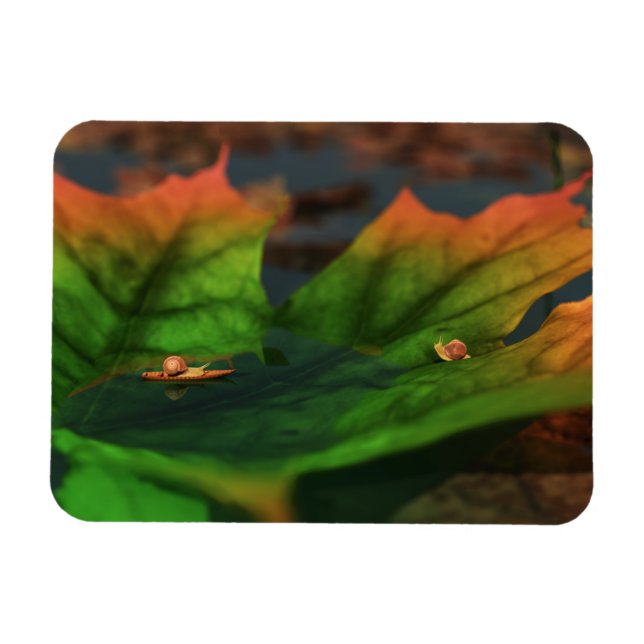 Vatten är ett stort, flexibelt magnet (Horisontell)