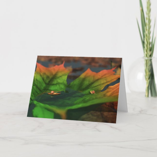Vatten är ett Wide Card Kort (Framsida)