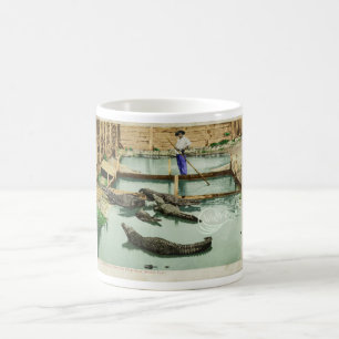 Vatten Baby Alligator Joe Kaffemugg