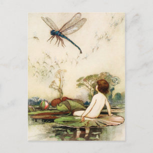 Vatten Baby och Dragon Fly Vykort