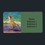 Vatten Bird i Santa Hat vid Beach-julen Adress Fraktsedel<br><div class="desc">Addera på en söt vatten-fågel med röd julhatt och på en sandstrand och tropisk strand.</div>