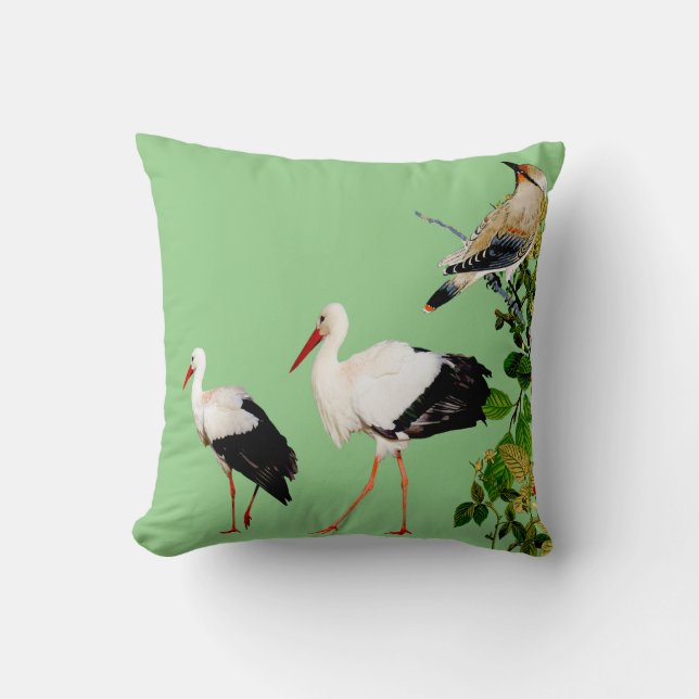Vatten Birds Storks Natature Greenery Foliage Gren Kudde (Framsida)