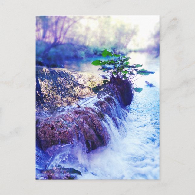 vatten dimma vykort (Framsida)