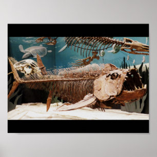 Vatten- Dino affisch