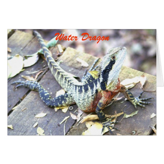 Vatten Dragon Hälsningskort (Framsidan Horizontal)
